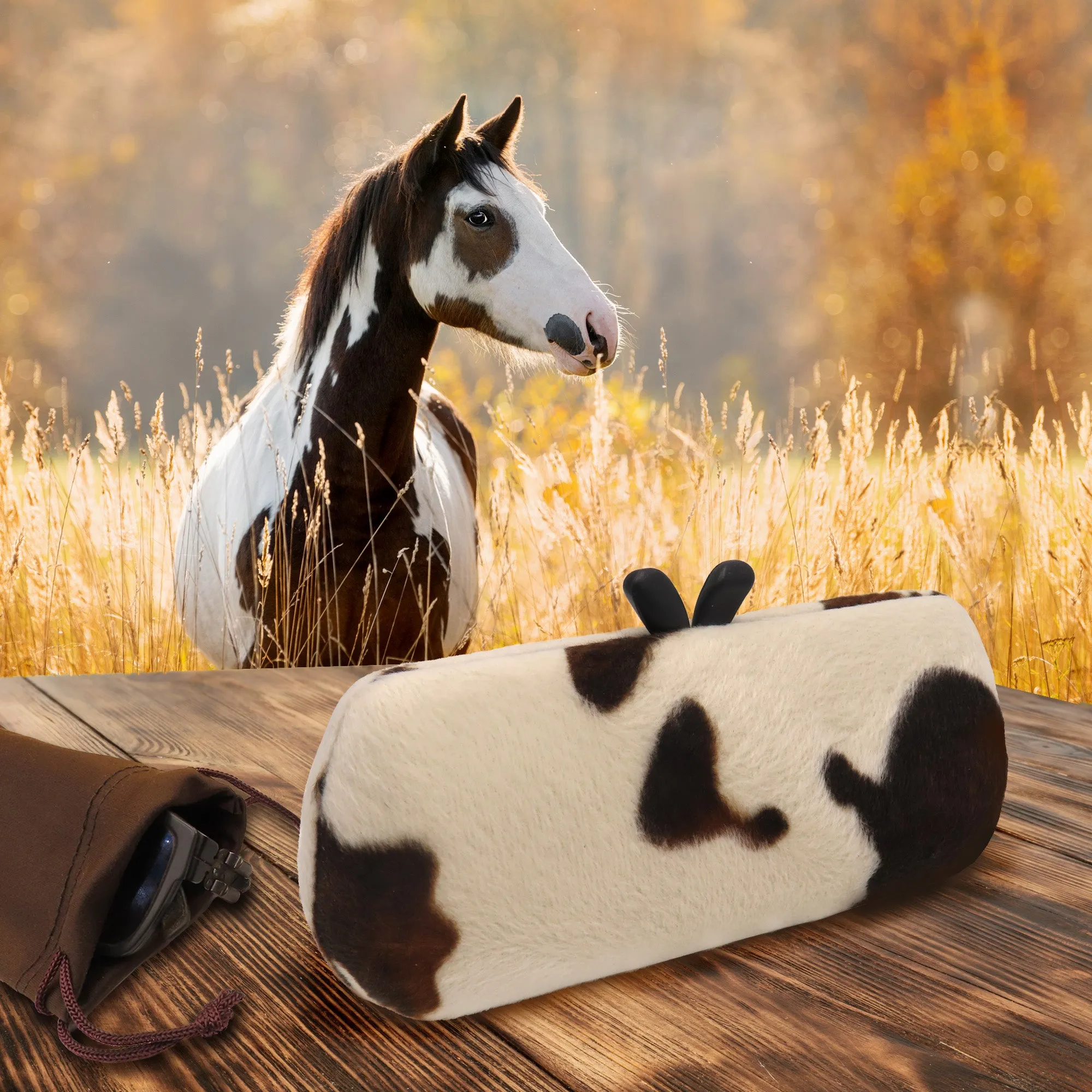 Chic Glasses Case - Hard Eyeglasses Case with Handle - Cute Small Sunglass Case Holder Pouch & Cloth (AS461 PONY)