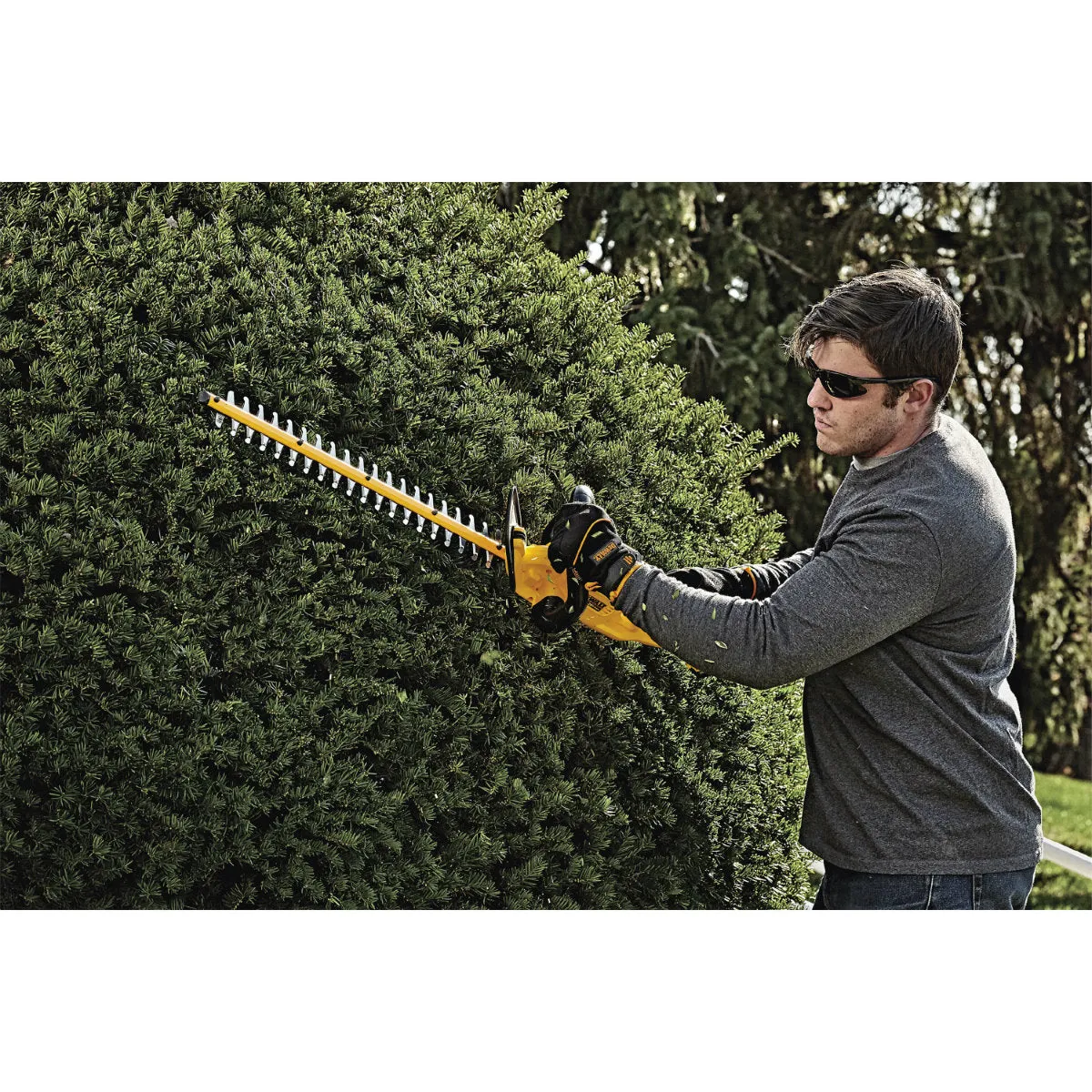 DeWalt DCHT820P1 20V MAX Lithium Ion Hedge Trimmer 5.0Ah