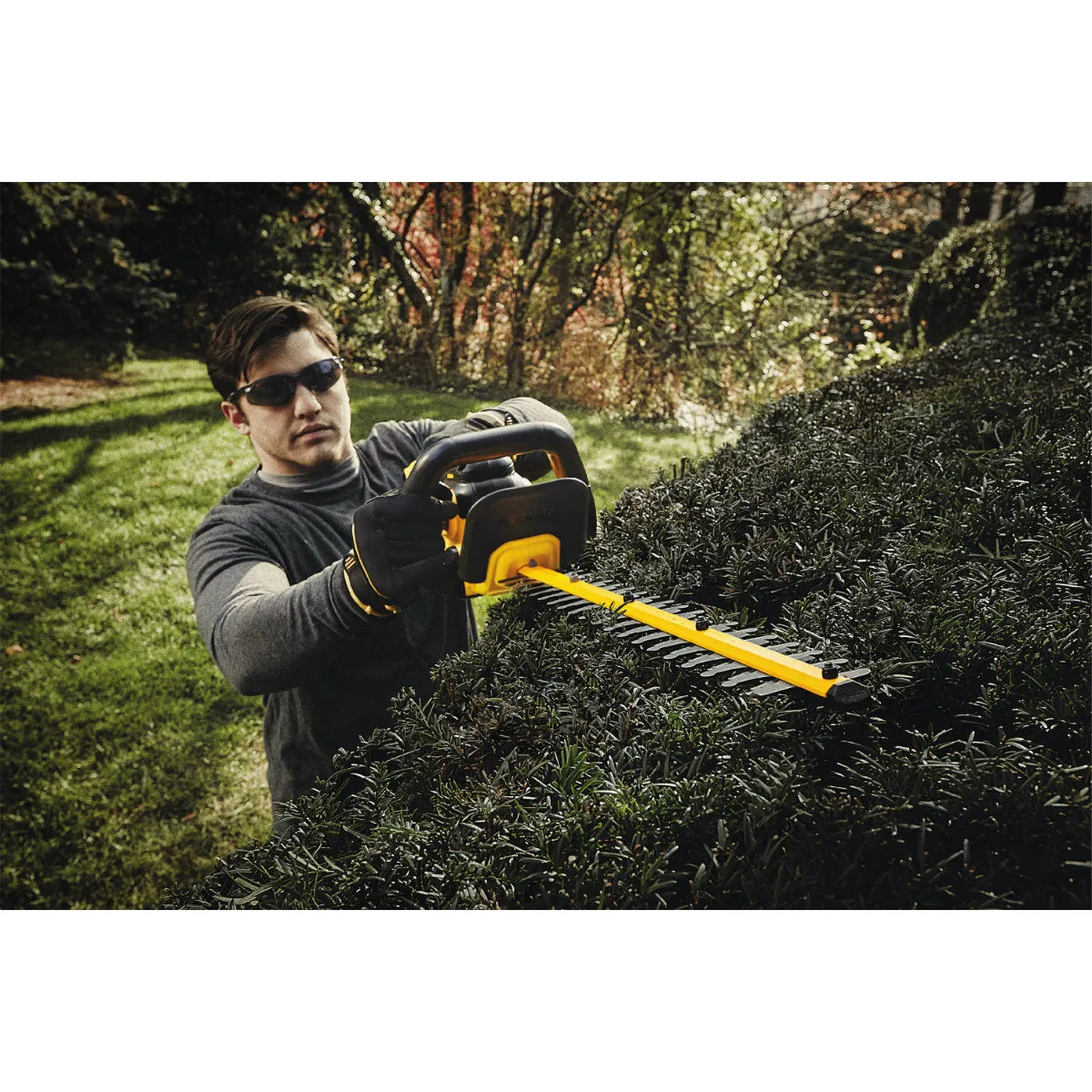 DeWalt DCHT820P1 20V MAX Lithium Ion Hedge Trimmer 5.0Ah