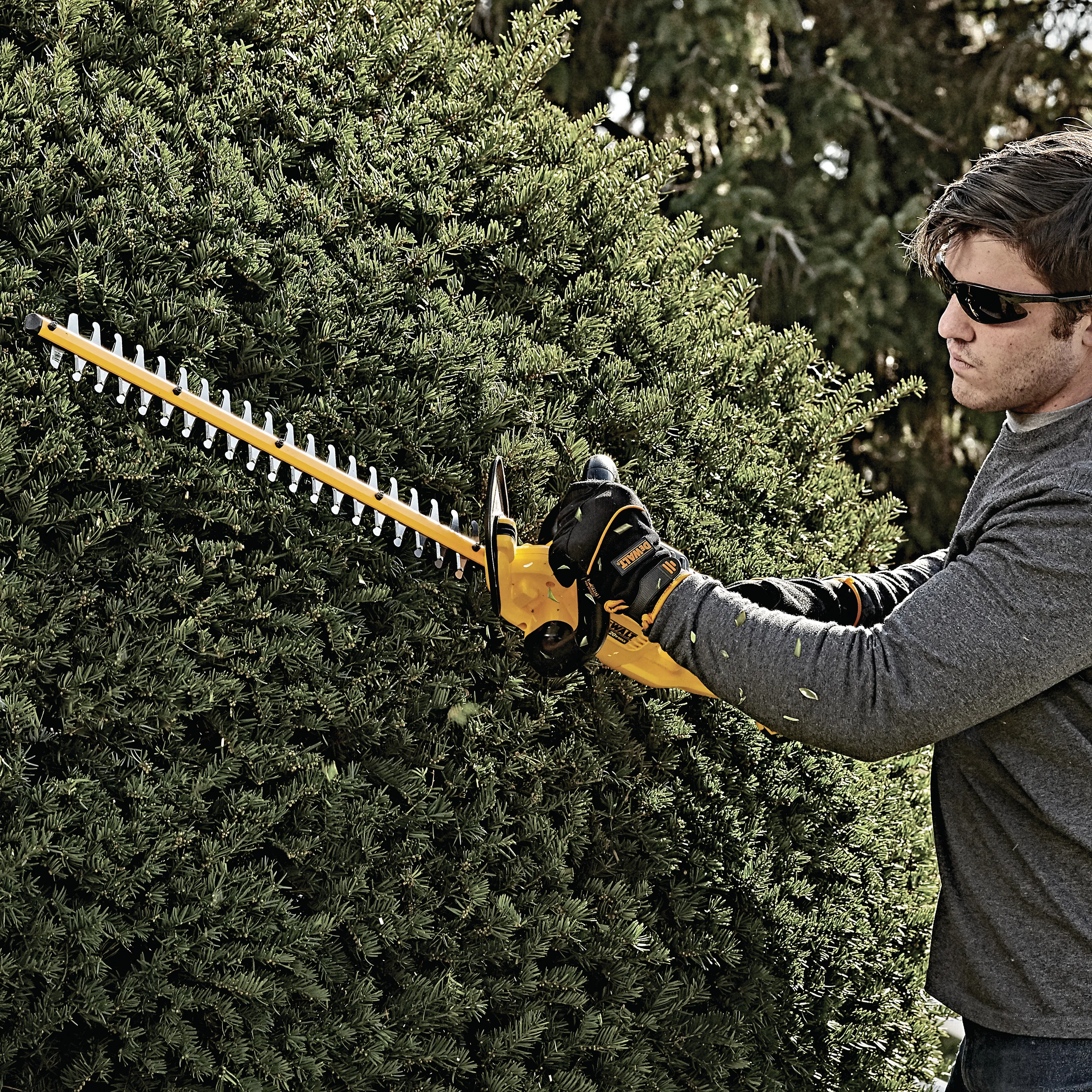 DeWalt DCHT820P1 Cordless Hedge Trimmer Kit