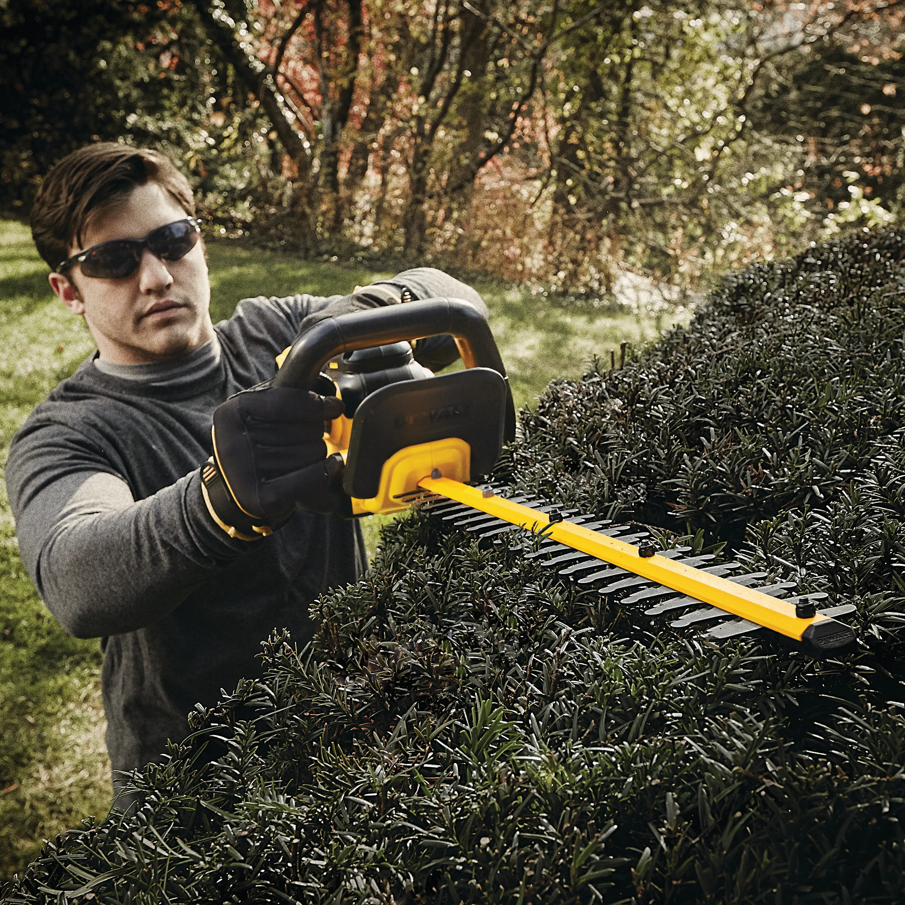 DeWalt DCHT820P1 Cordless Hedge Trimmer Kit