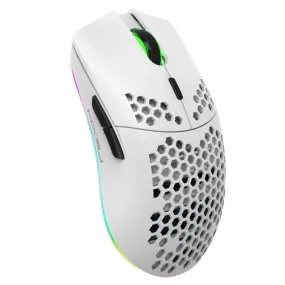 HXSJ T66 RGB Wireless Gaming Mouse with 7 Programmable Keys and Colorful Lighting